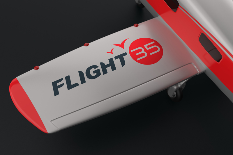 Airplane-Logo-Mockup