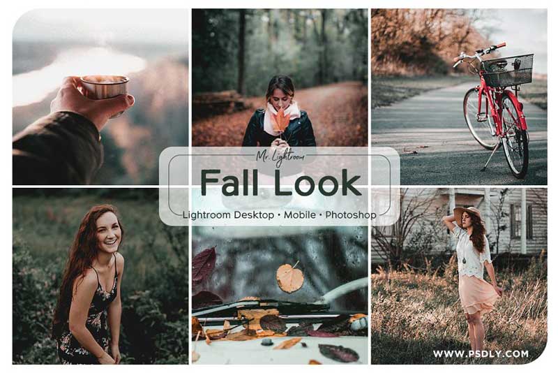 Fall Look Lightroom Presets 2689825 Download