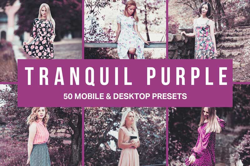 50 Tranquil Purple Lightroom Presets