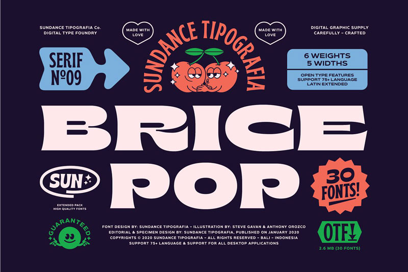 Brice Font Family Free Download