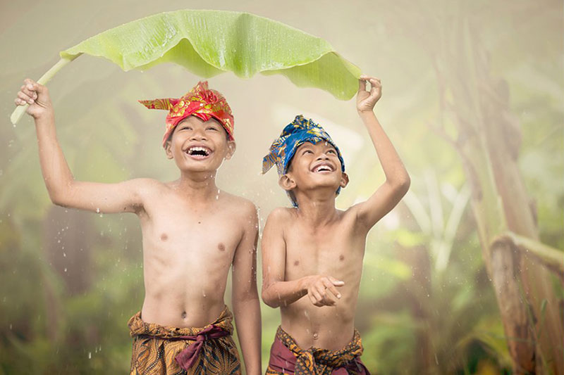 Rain Forest Desktop Presets 4594872 3