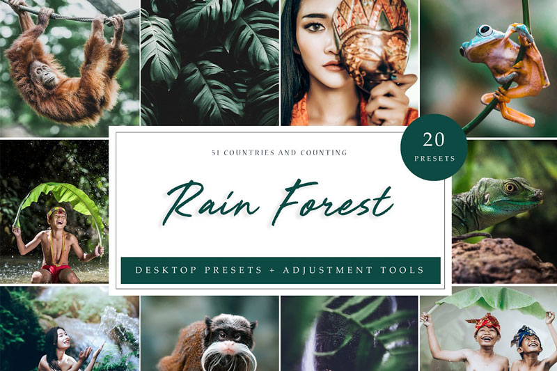 Rain Forest Desktop Presets 4594872