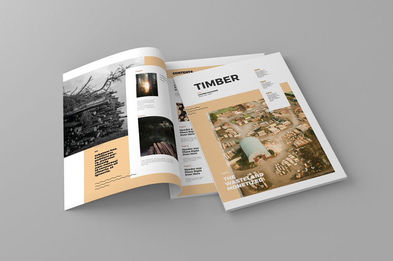 Timber Magazine Template Free Download
