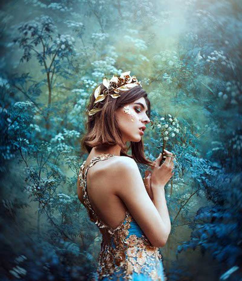 FINE ART Introduction to Artistic Photography by Ronny Garcia