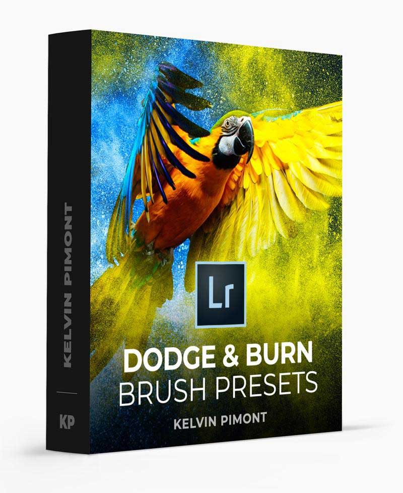 Kelvindesigns Lightroom Brush Presets Dodge 2526 Burn