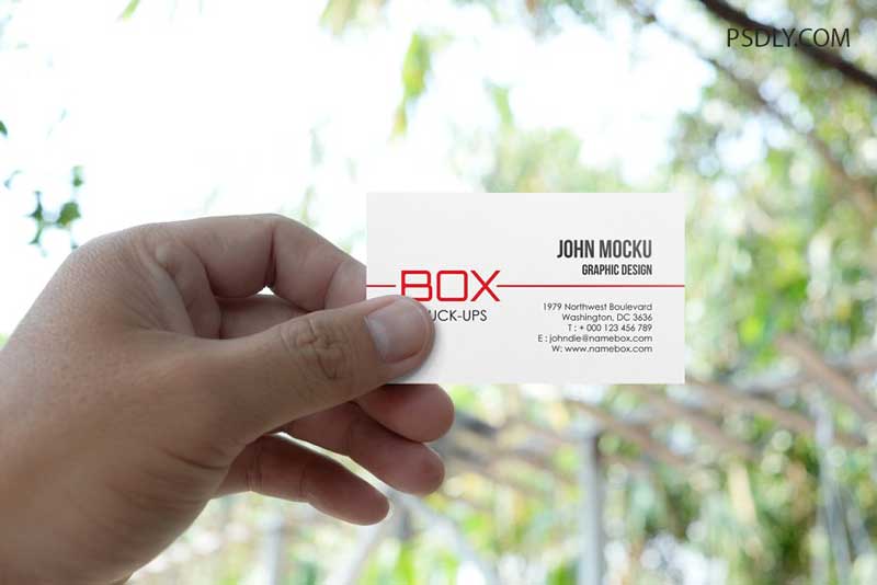 Realistic Business Card Mockups 1