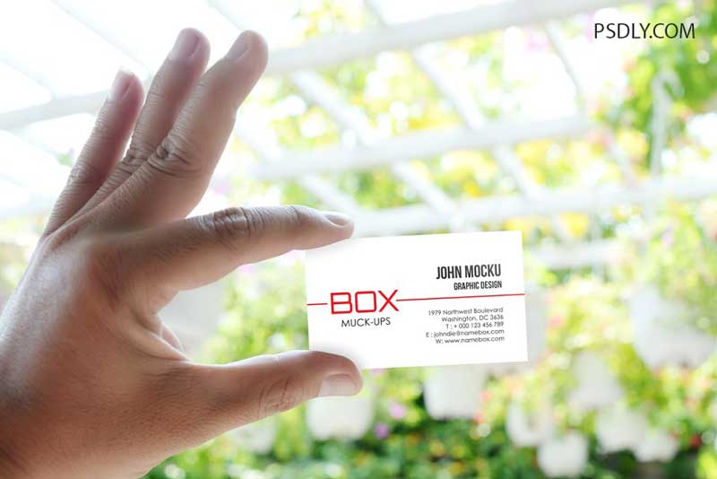 Realistic Business Card Mockups