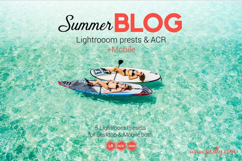 Summer Blog Lightroom 2526 ACR Presets 4594492