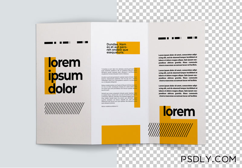 Trifold Brochure Top View Mockup