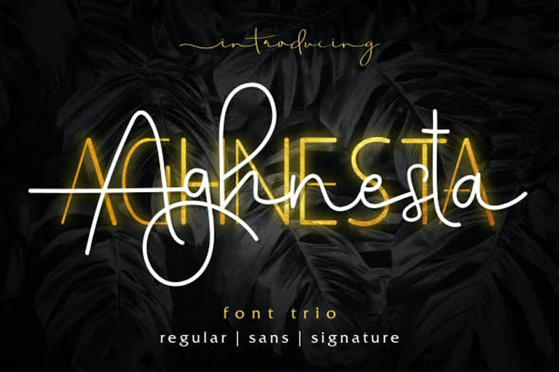 Aghnesta Font Trio 25603448