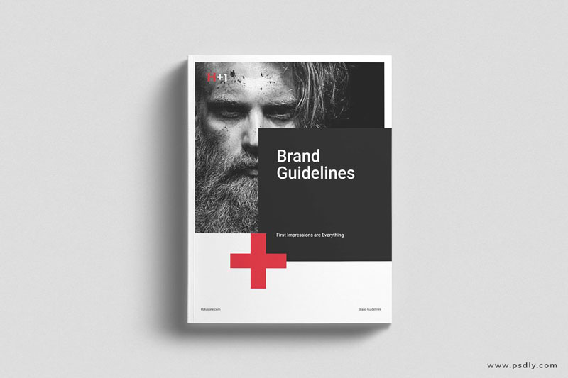 Brand Guidelines 4683253