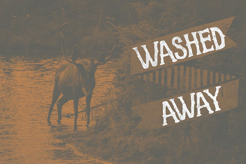 Washed Away Gradients 143999