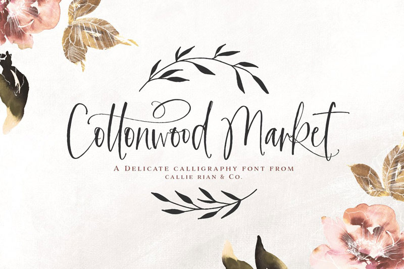 Cottonwood Market Typeface