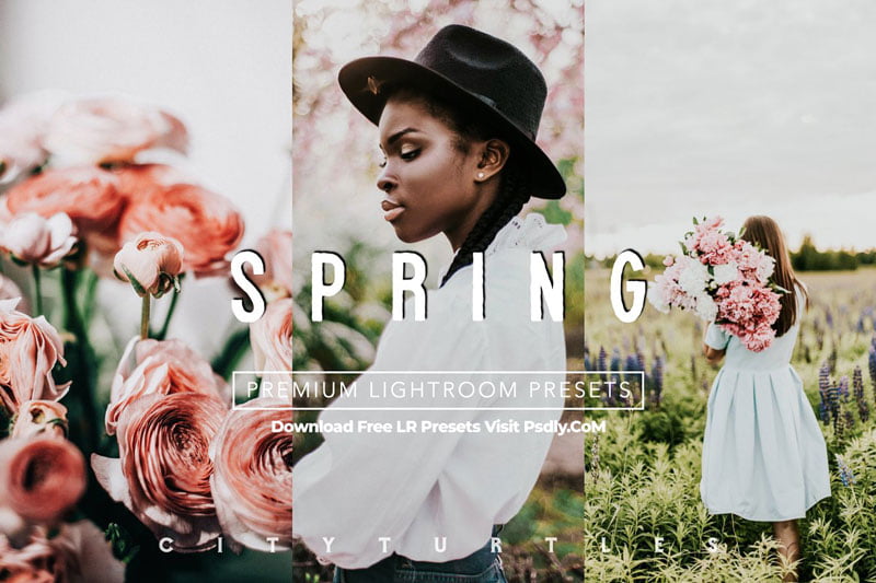 Vibrant SPRING Lightroom Presets 4806650
