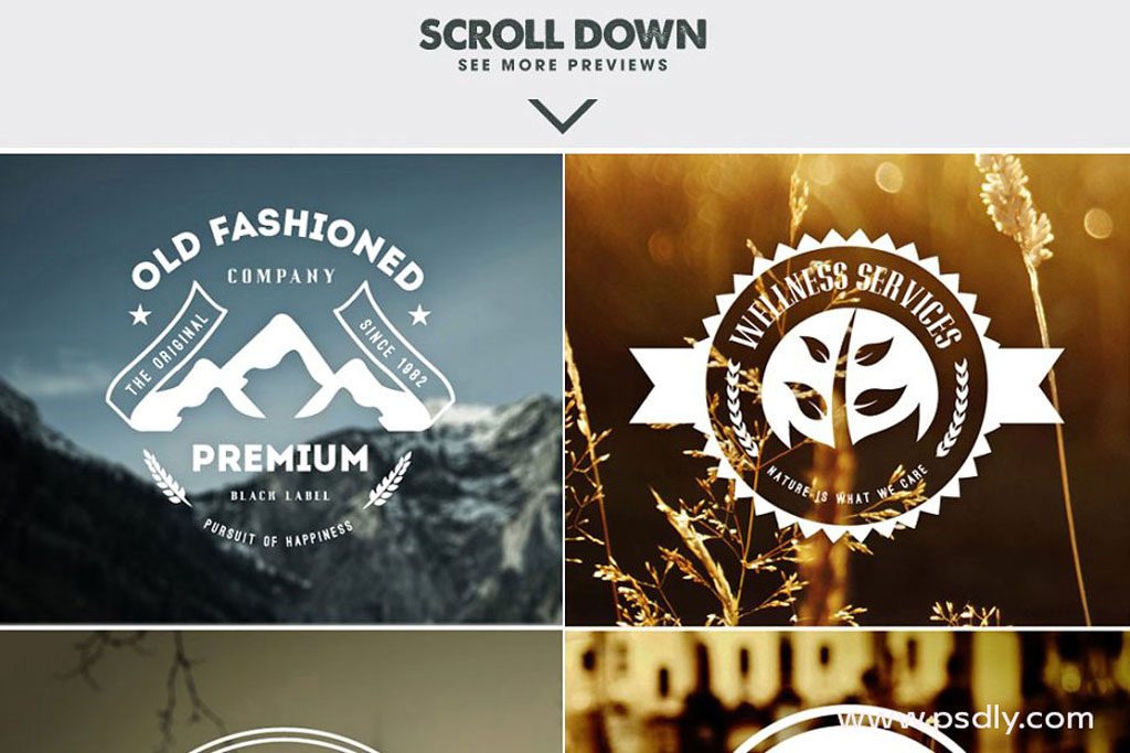 MEGA Bundle 326 Vintage Logos Badges 1