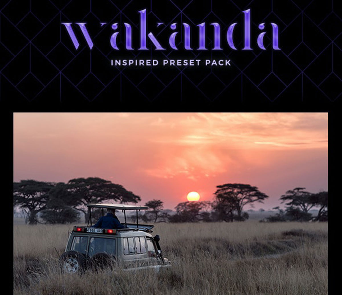 7 Cinematic Lightroom Presets - Wakanda Inspired Pack (+ Mobile Version) 27542569