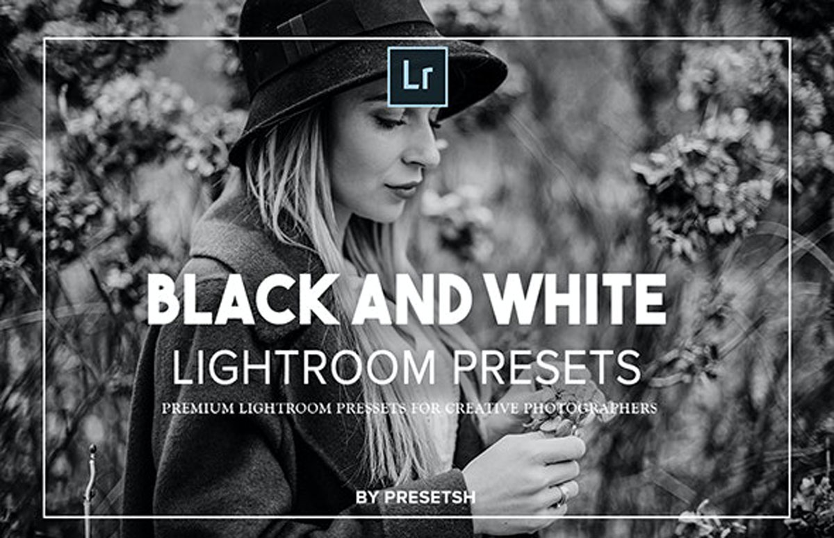 Black & White Lightroom Presets 27483987