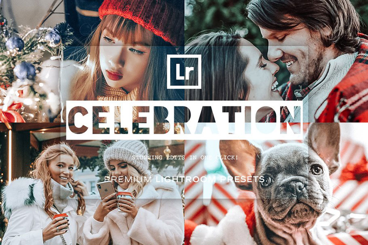 Celebration Lightroom Presets 5202583