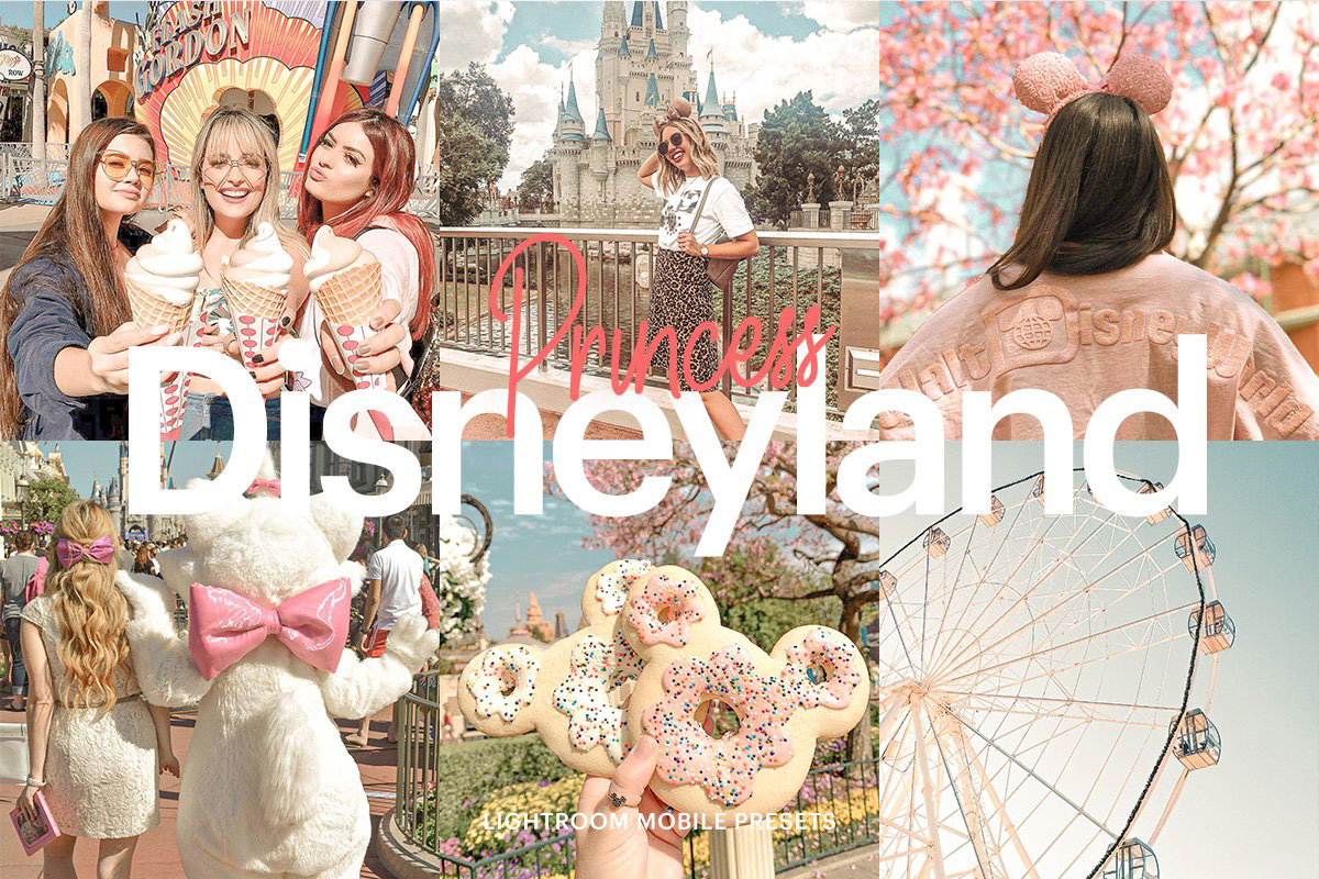 Lightroom Preset-Disneyland Princess 4973030