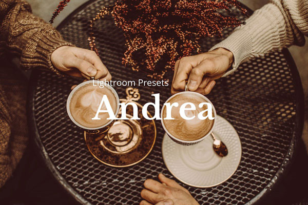 10 Andrea Lightroom Presets 5205957
