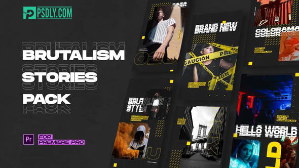 Videohive Instagram Stories 28167808