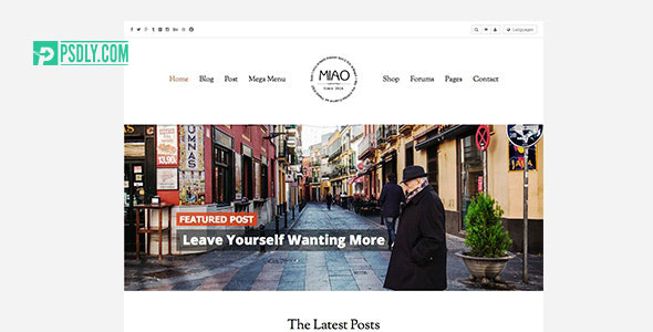Miao v1.1.2 Fashion Magazine, News & Blog WordPress Theme 11170534