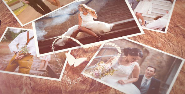 Videohive Wedding Slideshow 21091759