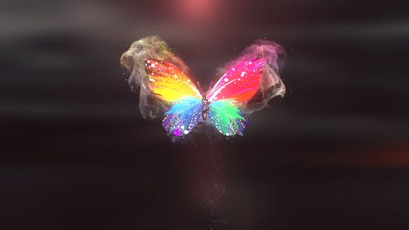 Videohive Colorful Butterfly Logo Reveal 4K 28927421