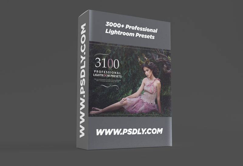 3000+ Professional Lightroom Presets
