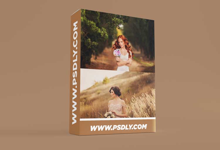 Ilya Dvoyakovsky – Photo Processing Training