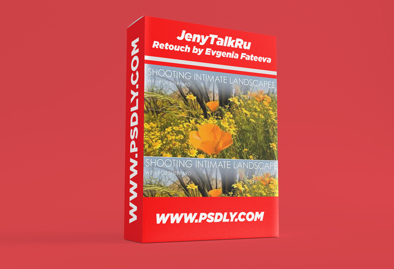 Shooting Intimate Landscapes with Rob Sheppard