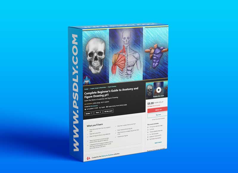 Complete Beginners Guide to Anatomy and Figure Drawing pt1