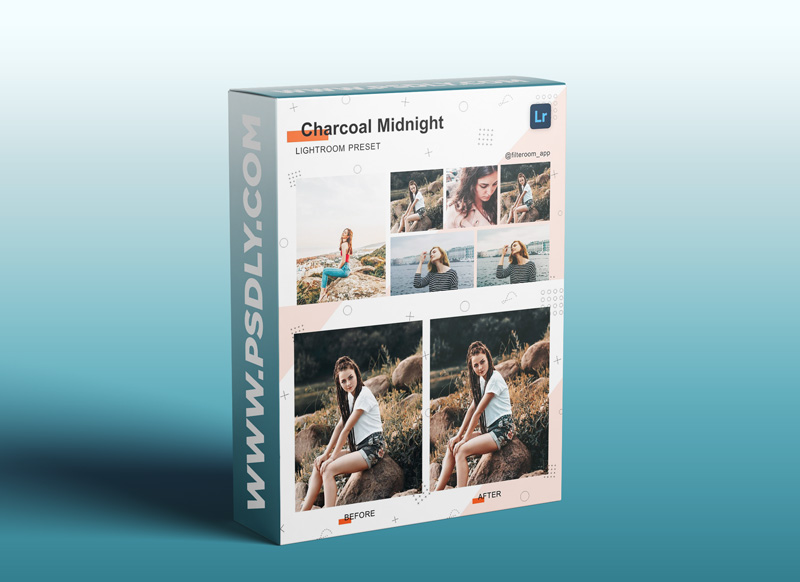 CreativeMarket - Charcoal Midnight Lightroom Presets 5239737