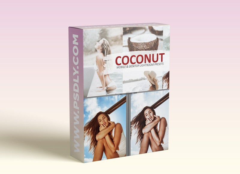 CreativeMarket Lightroom presets coconut tan 5610229