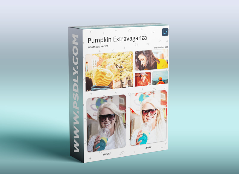 CreativeMarket – Pumpkin Extravaganza Lr Presets 5227466