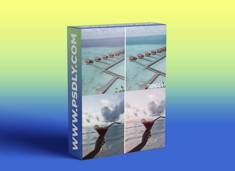 Jolie Janine Presets – Tropical Pack