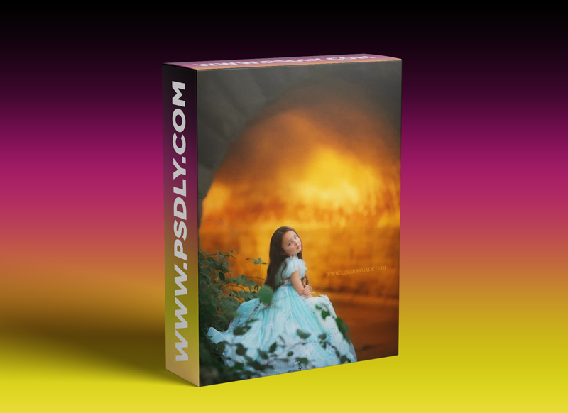 LemmonMade Photography - Central Park Edit I: Post Processing Download