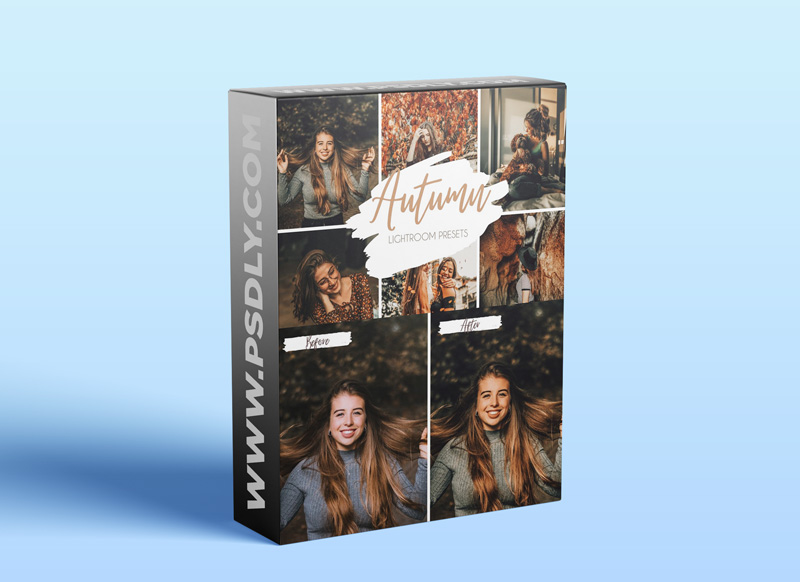 CreativeMarket Mobile & Desktop Lightroom Presets 5455517