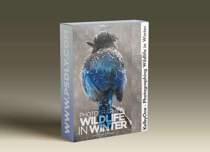 KelbyOne - Photographing Wildlife in Winter