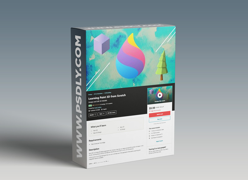 Learning Paint 3D from Scratch