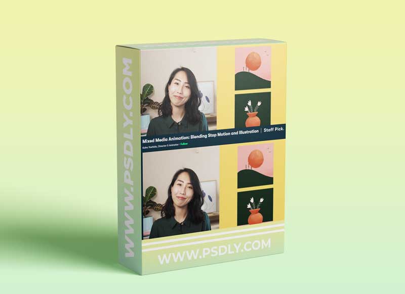 Mixed Media Animation: Blending Stop Motion and Illustration