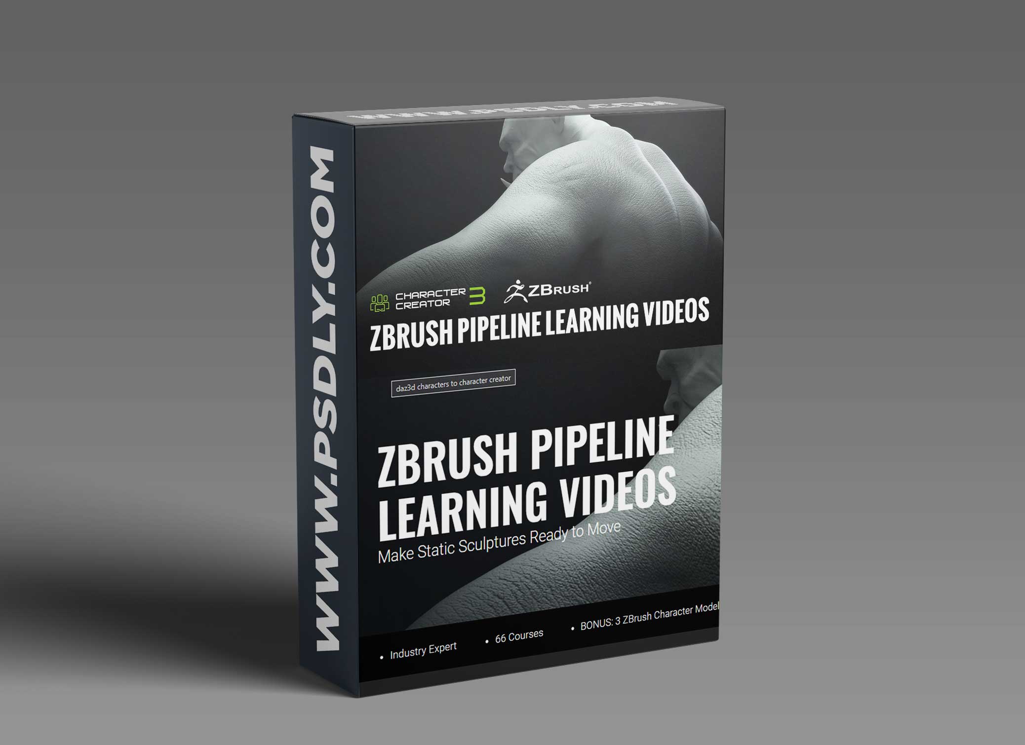 Reallusion - Zbrush Pipeline Learning Videos