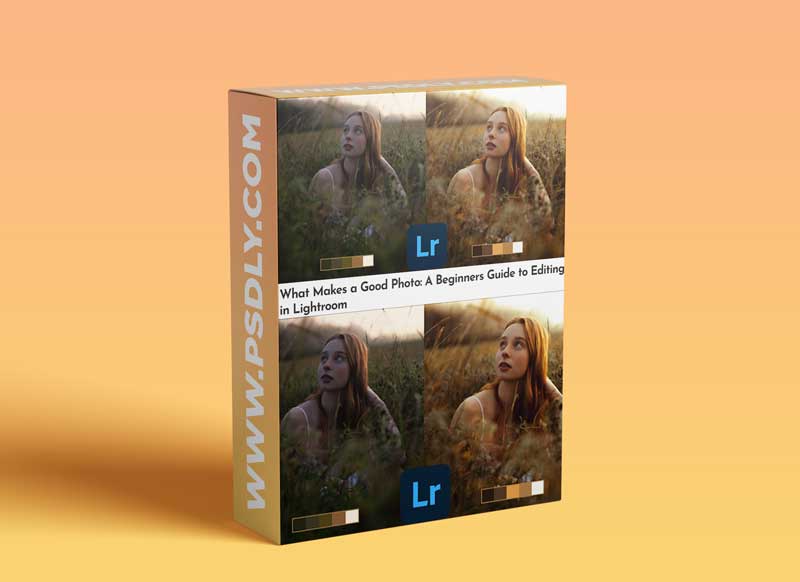 What Makes a Good Photo: A Beginners Guide to Editing in Lightroom