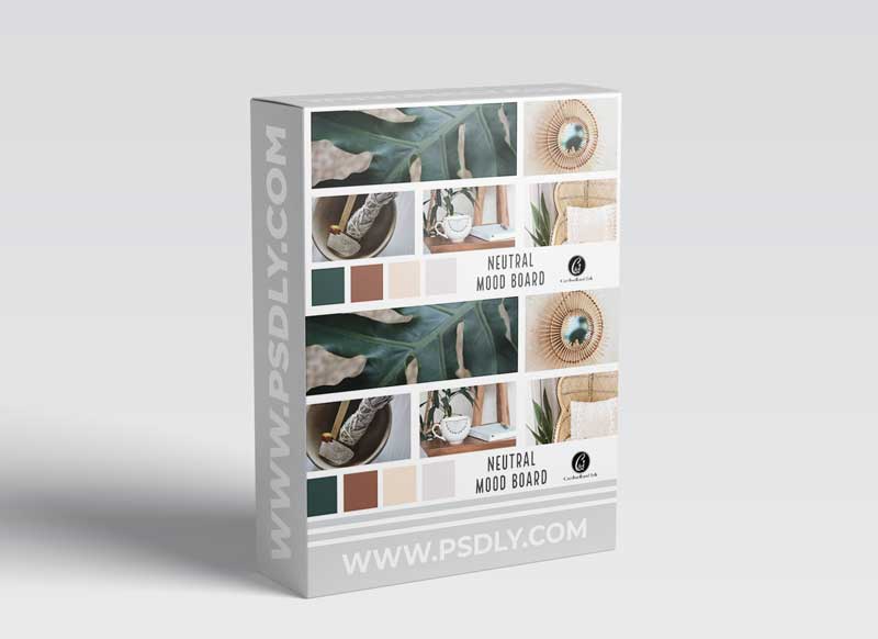 Adobe Spark Post: Social Media for Creatives and Small Business