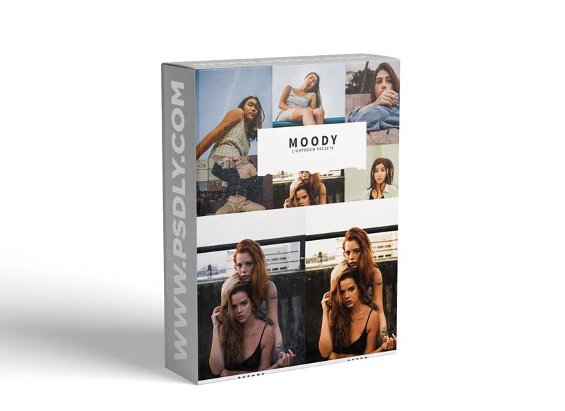 CreativeMarket - 10 Moody Lightroom Presets 5857394