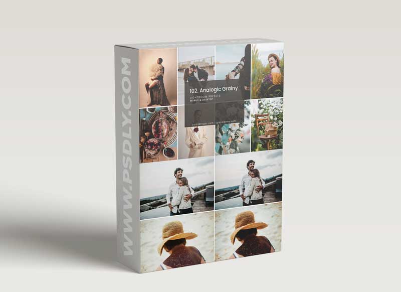 CreativeMarket - 102. Analogic Grainy Presets 5158850