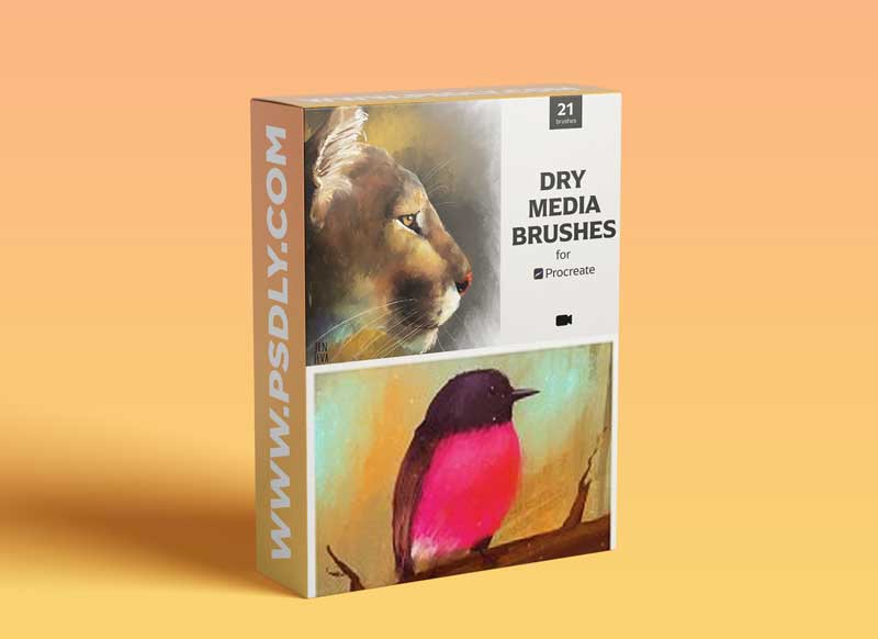 CreativeMarket - Dry Media Brushes - Procreate 5488435