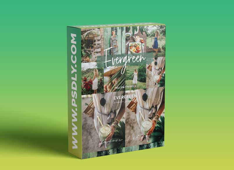 CreativeMarket - Evergreen Lightroom Mobile Presets 5017153