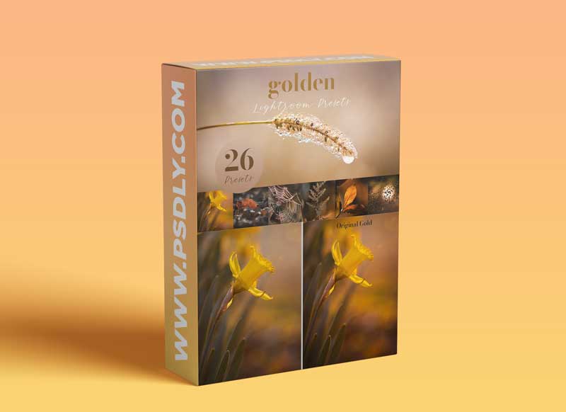 CreativeMarket - Golden Lightroom Presets 5805936