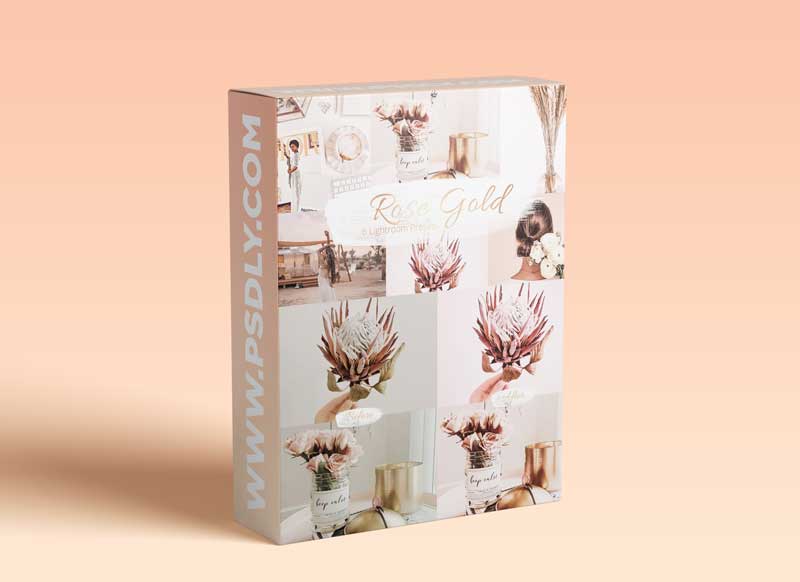 CreativeMarket Rose Gold Collection - Lr Presets 5842160